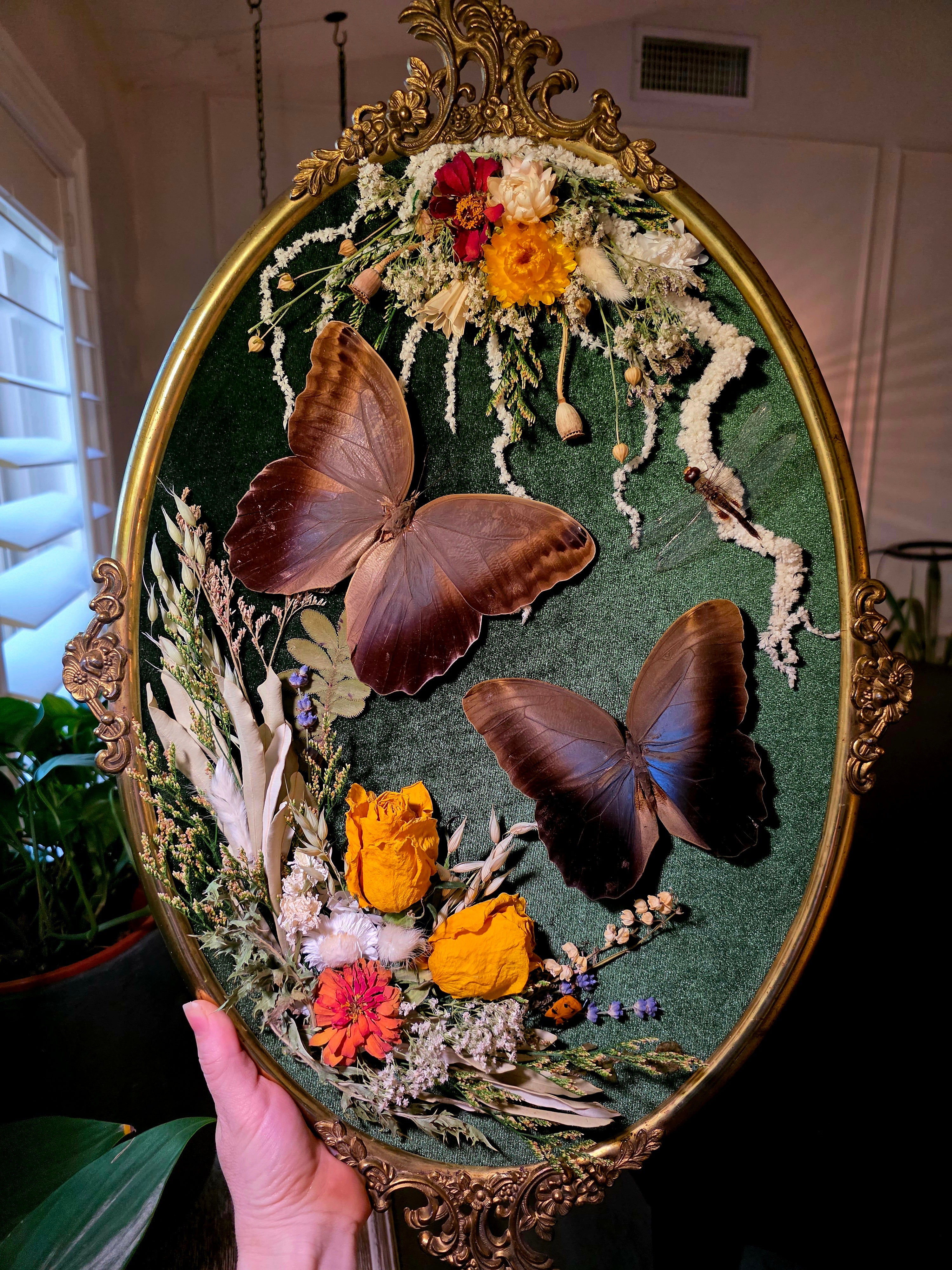 Vintage Frames – Insectique