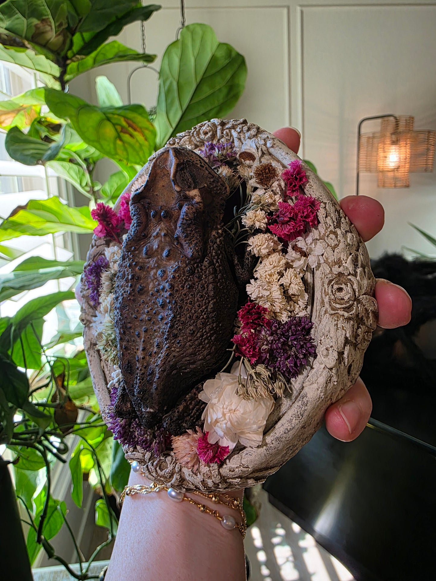 Real Preserved Toad in Vintage Frame