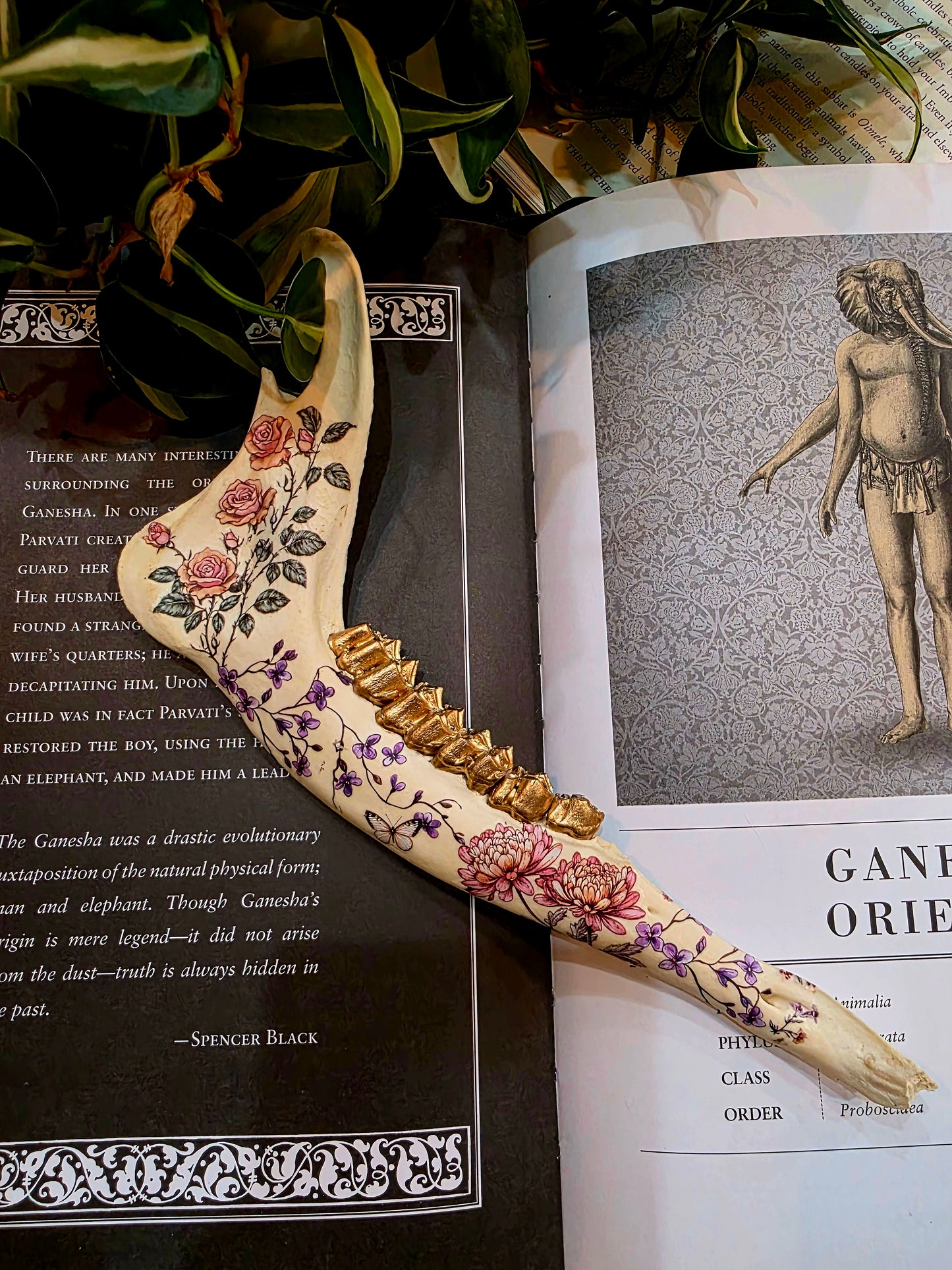 Decorative Deer Jaw Bone (B)