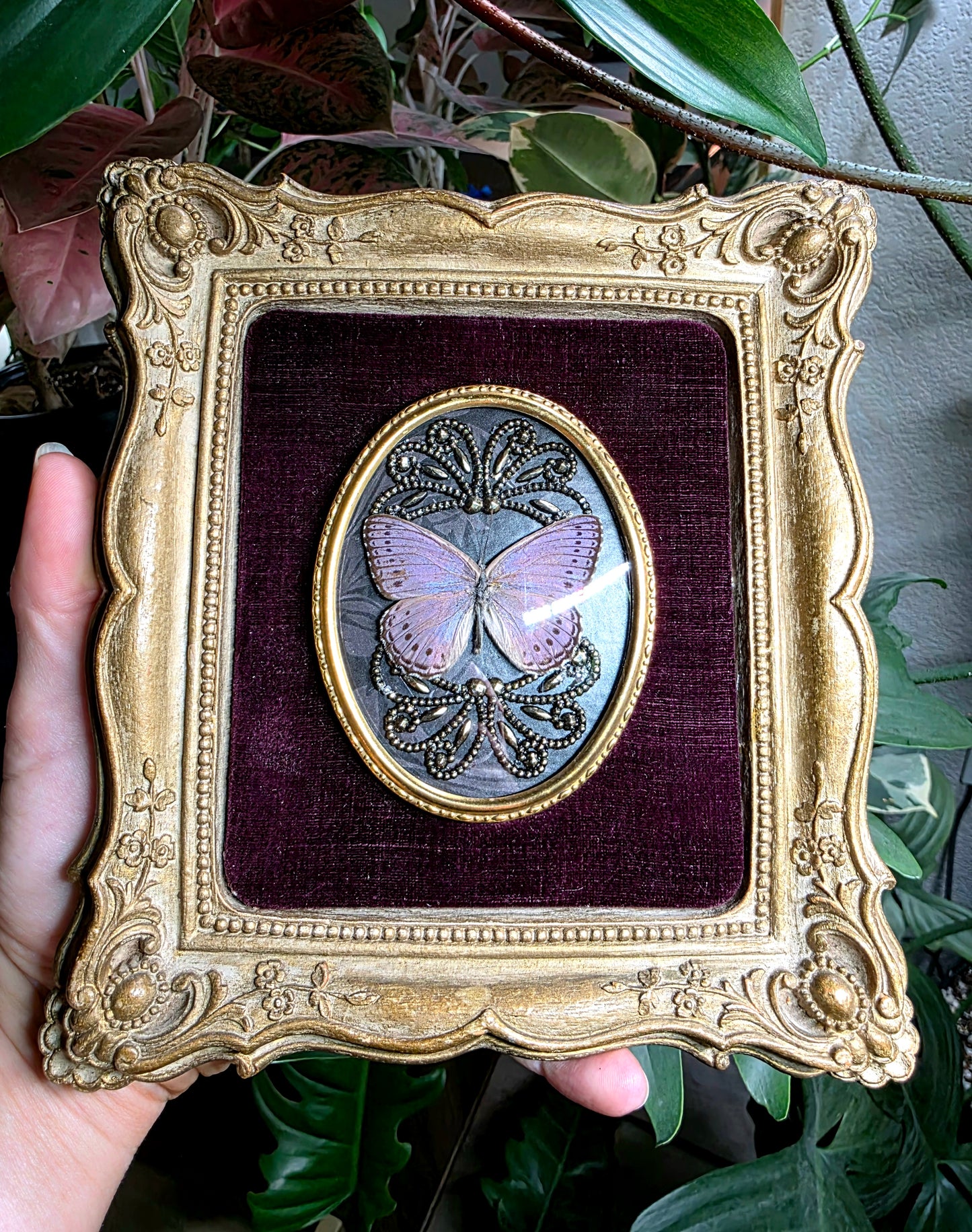 Vintage Victorian Frame with Lilac Butterfly and Brass Adornments