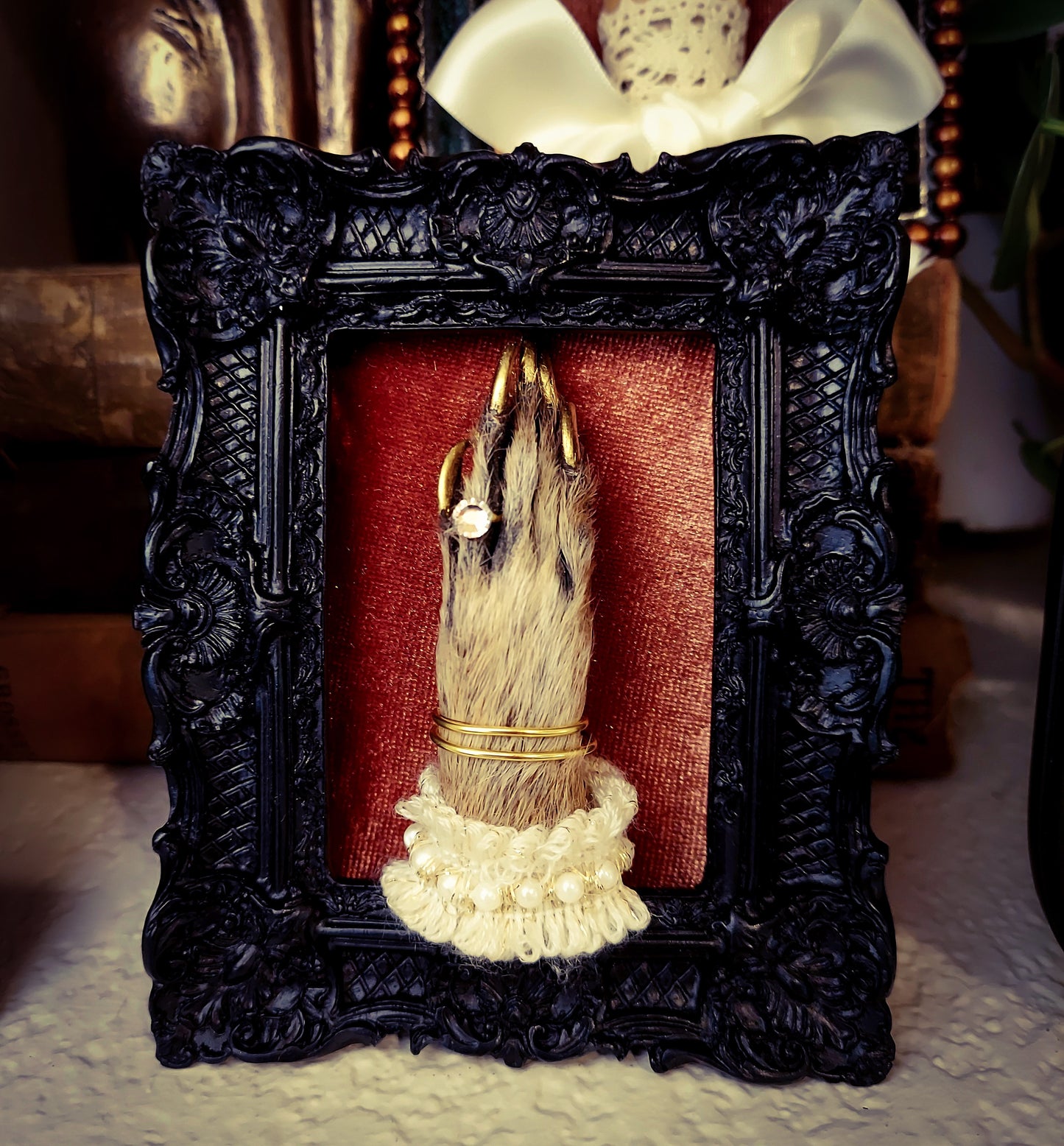 Framed Fancy Raccoon Foot -Black Frame with Pearls