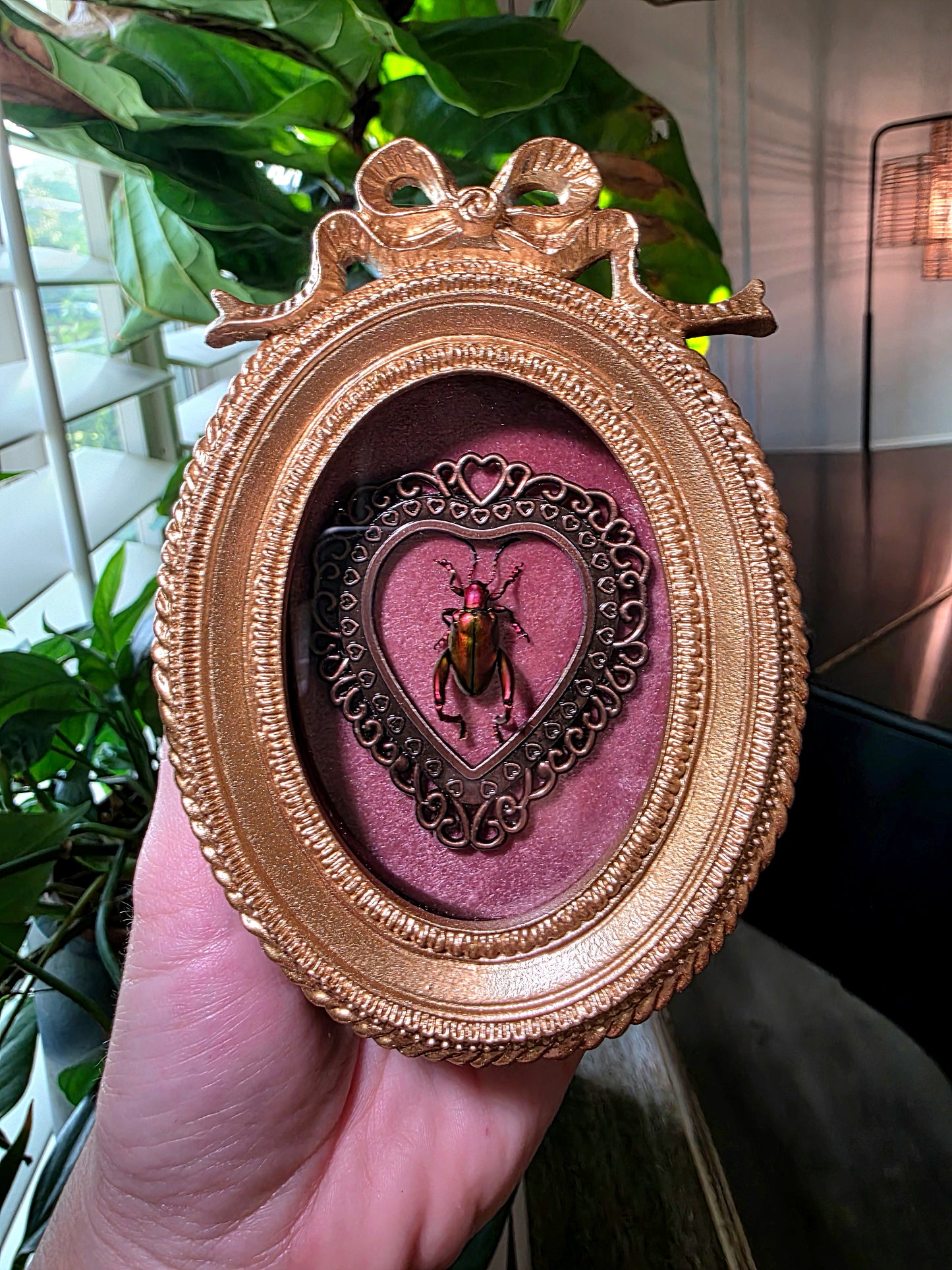 Real Frog Beetle in Bow Frame