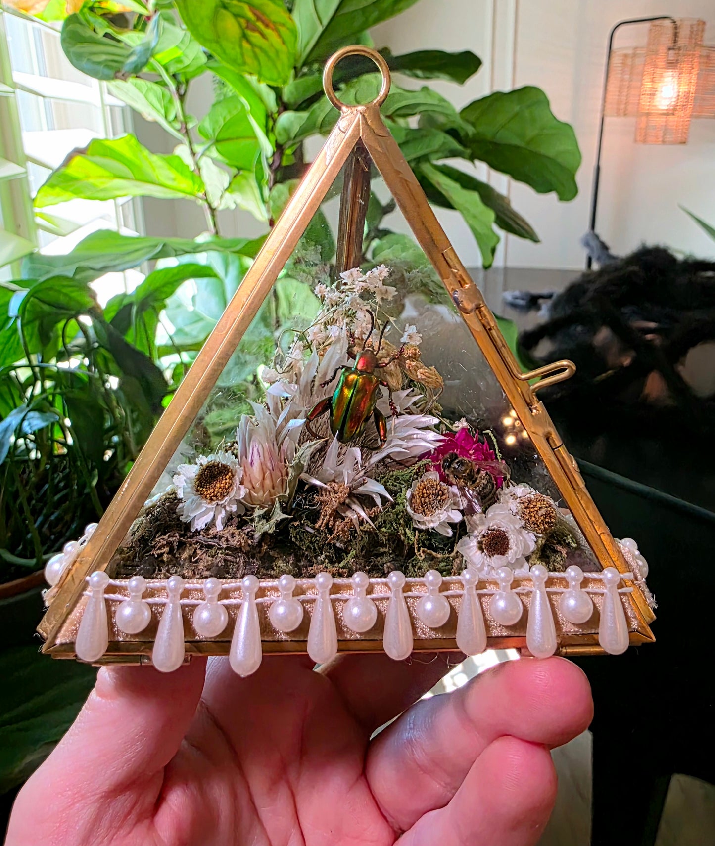 Real Frog Beetle and Honey Bee Terrarium