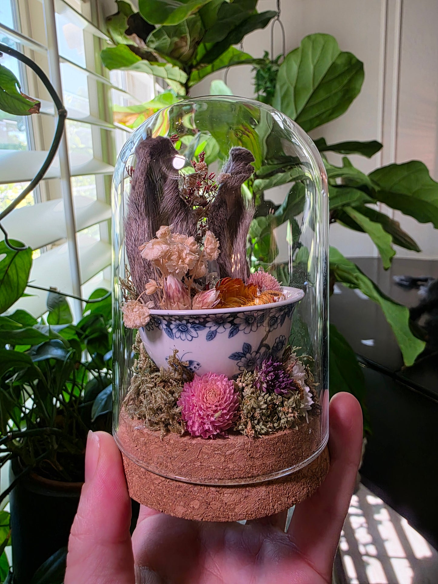 Real Bunny Ears in Teacup Terrarium
