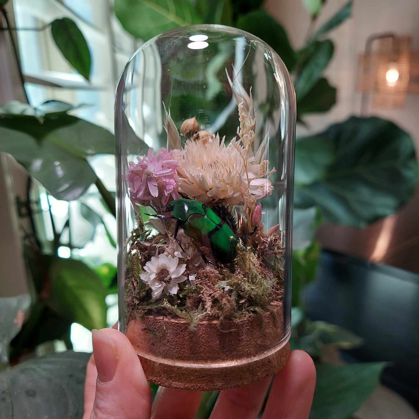 Mini Glass Terrarium with a Real Flower Beetle and Dried Flowers