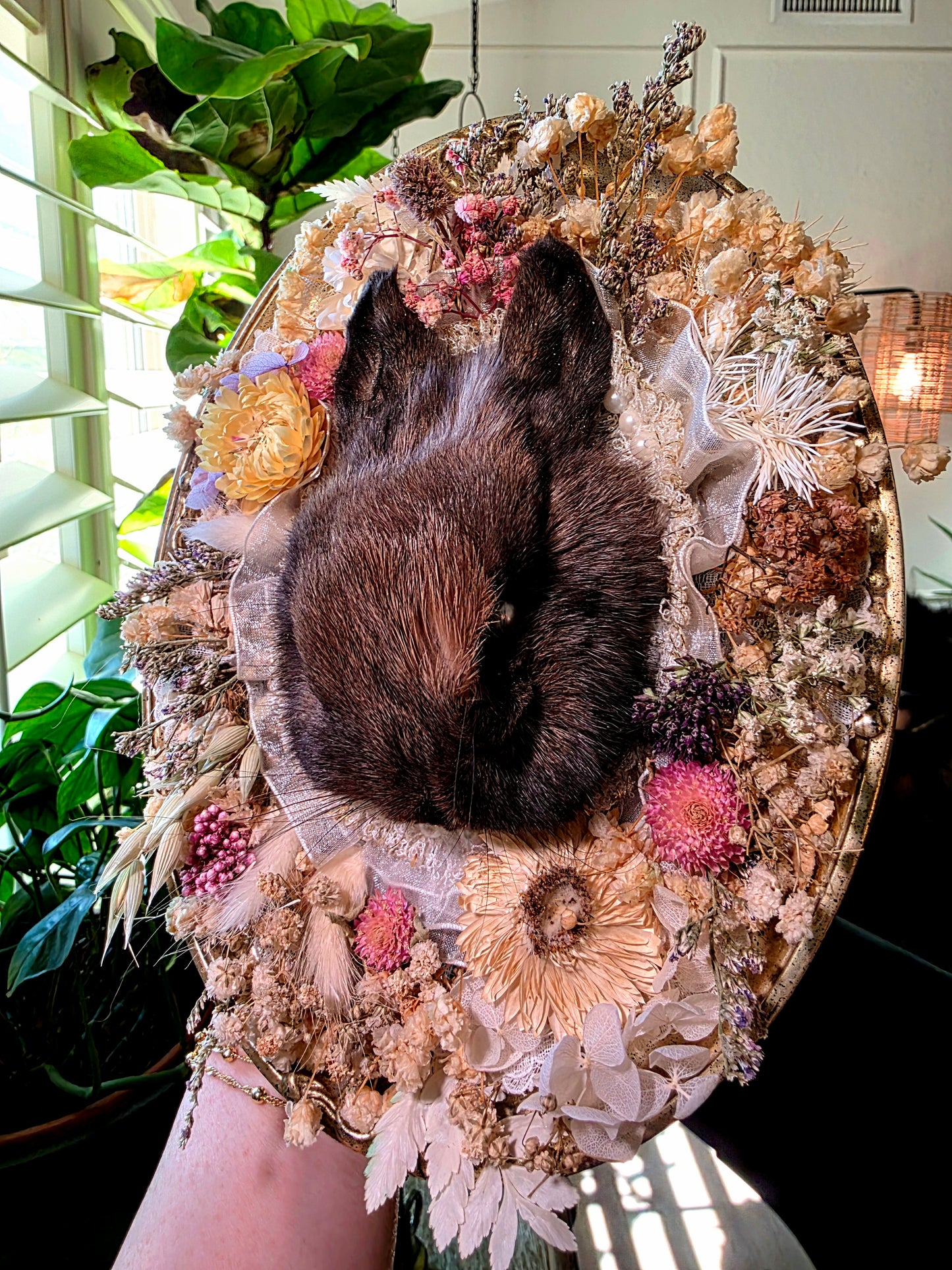 Real Preserved Bunny with Dried Flowers