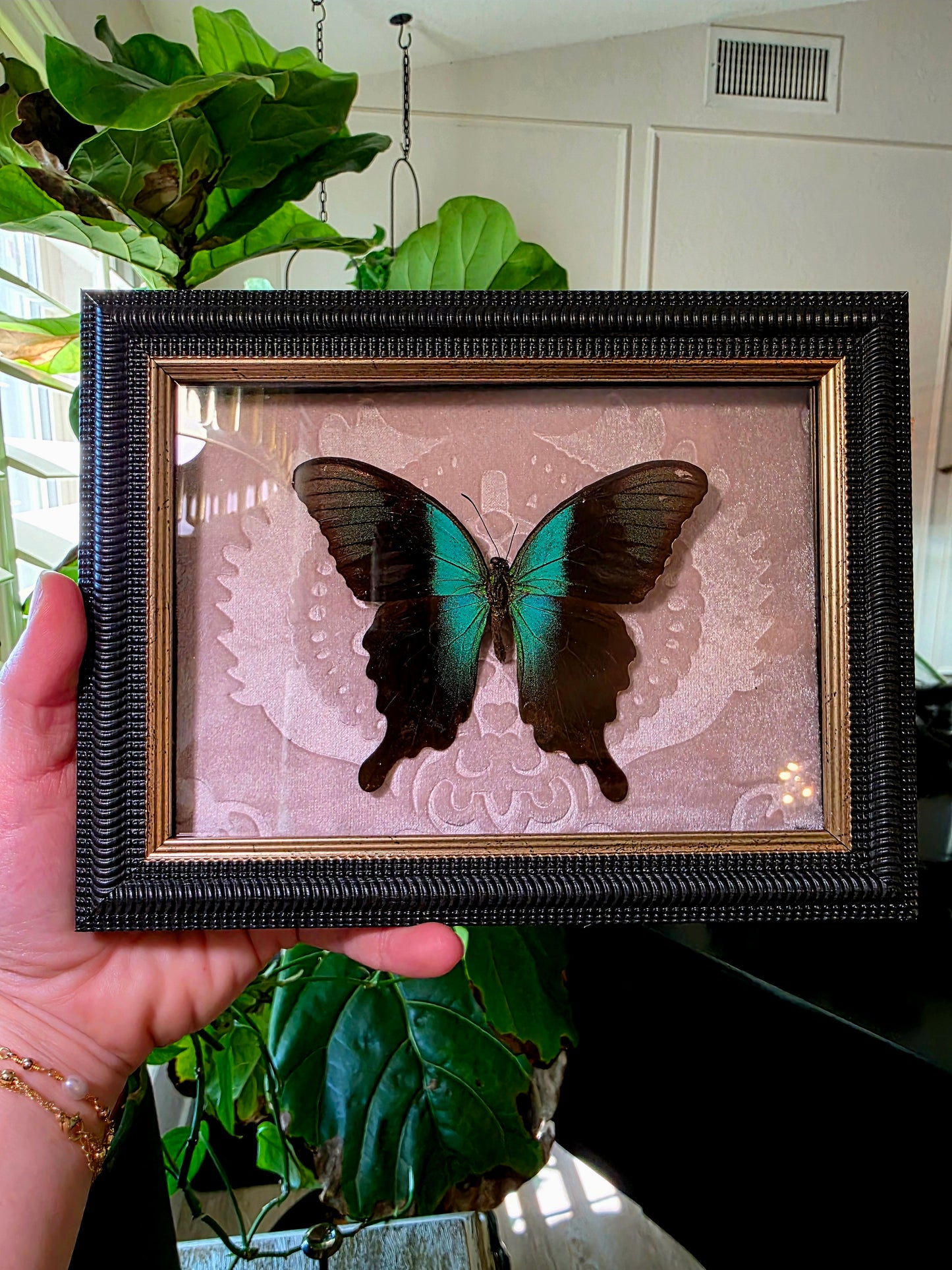 Pink Velvet and Swallowtail Shadowbox Frame