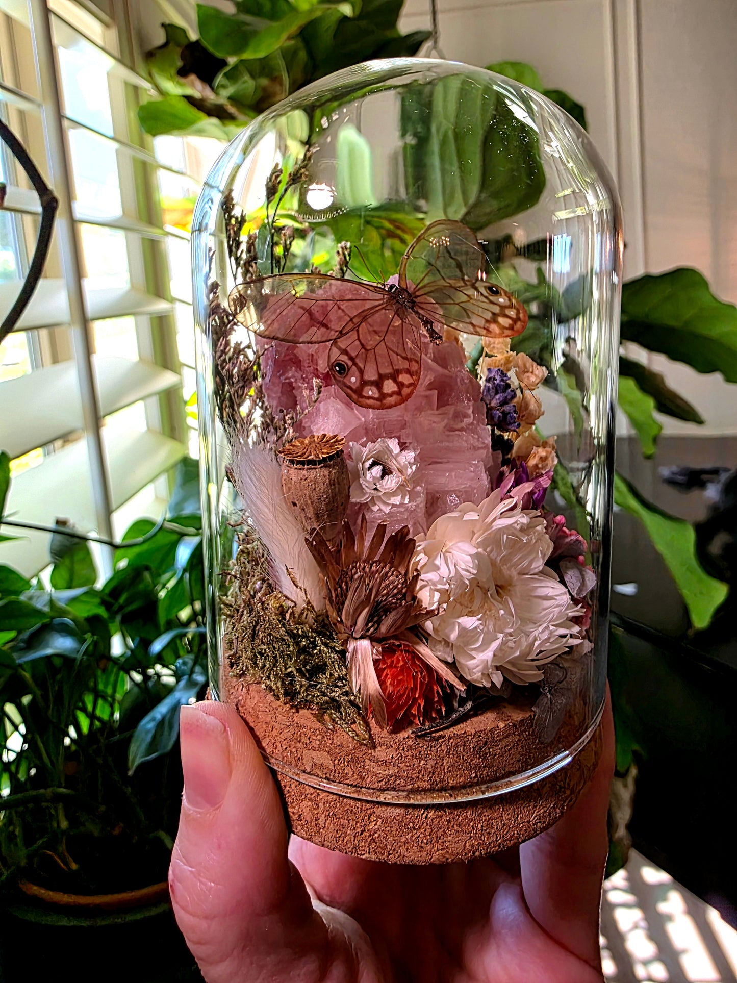 Glass Wing Butterfly and Pink Halite Terrarium