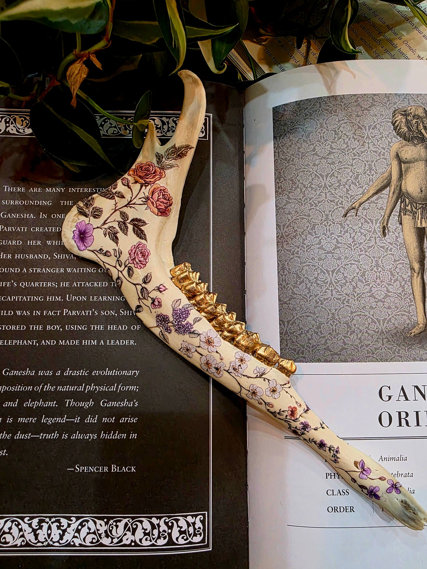 Decorative Deer Jaw Bone (C)