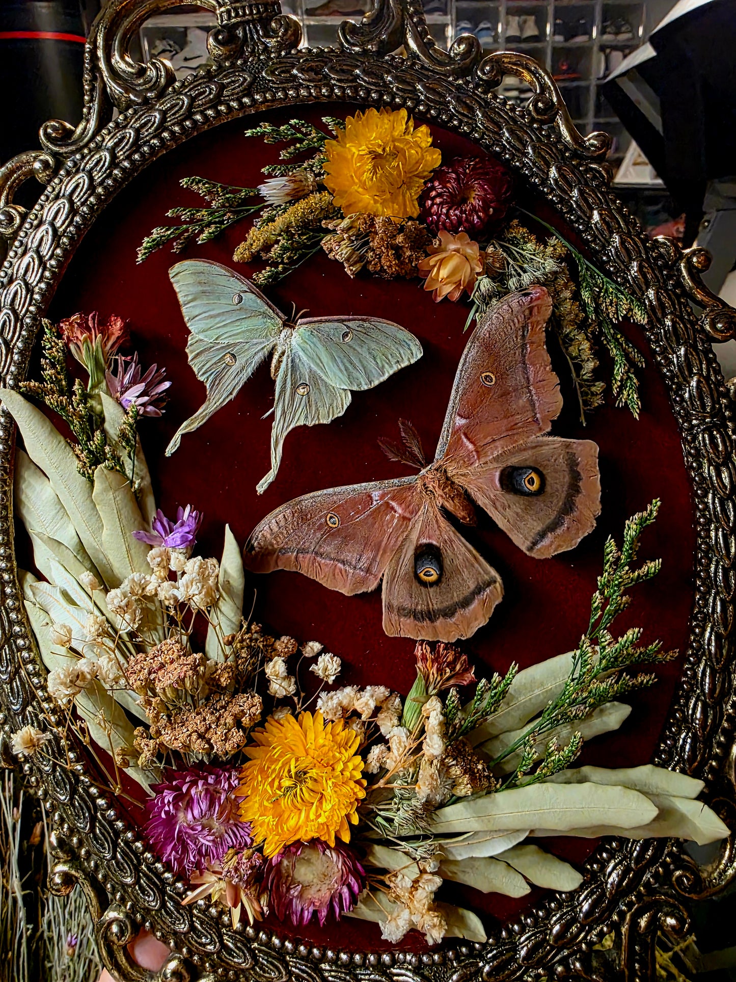 Vintage Italian Frame with Luna and Polyphemus Moth