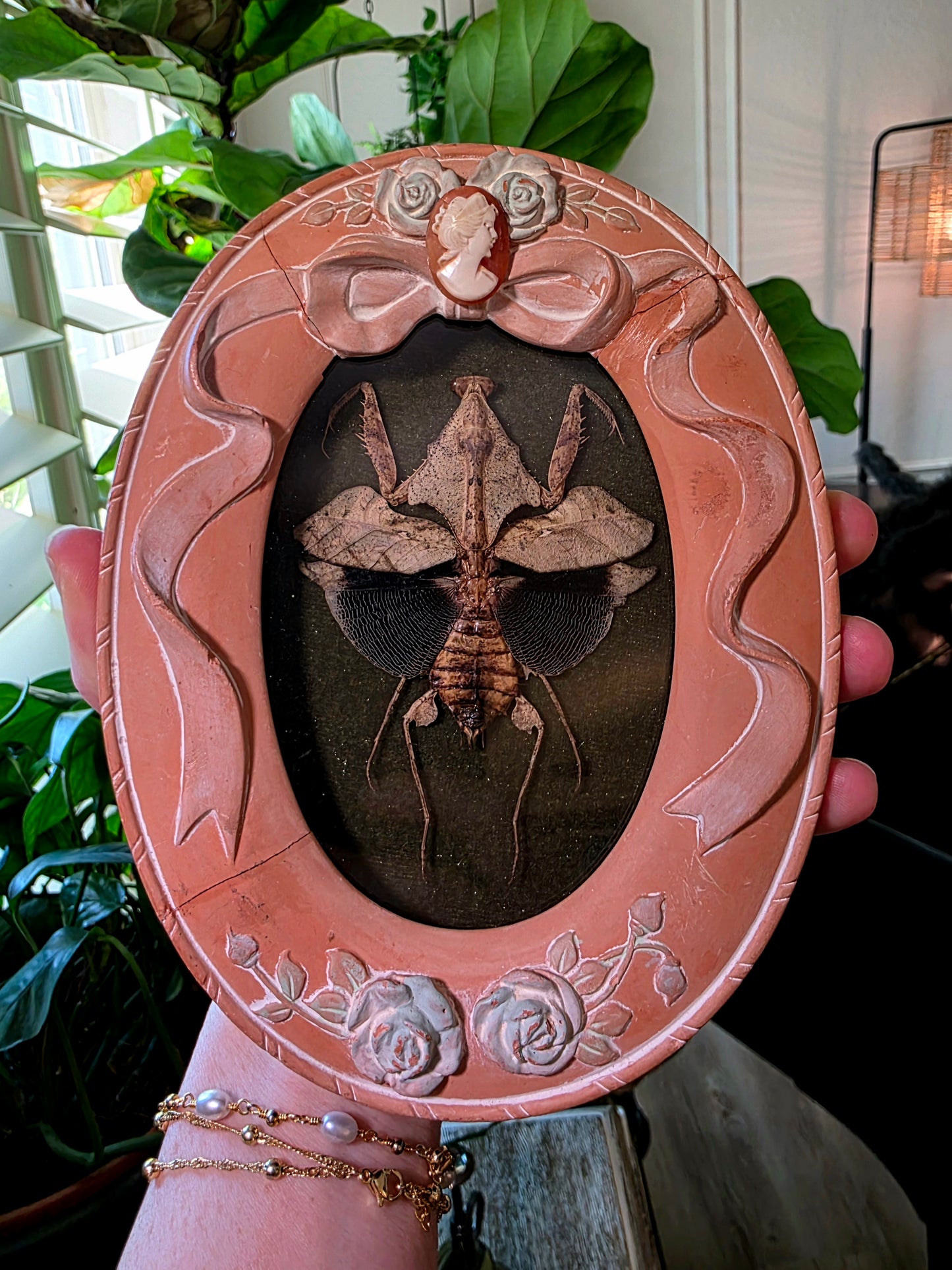 Vintage Terracotta Frame with Dead Leaf Mantis