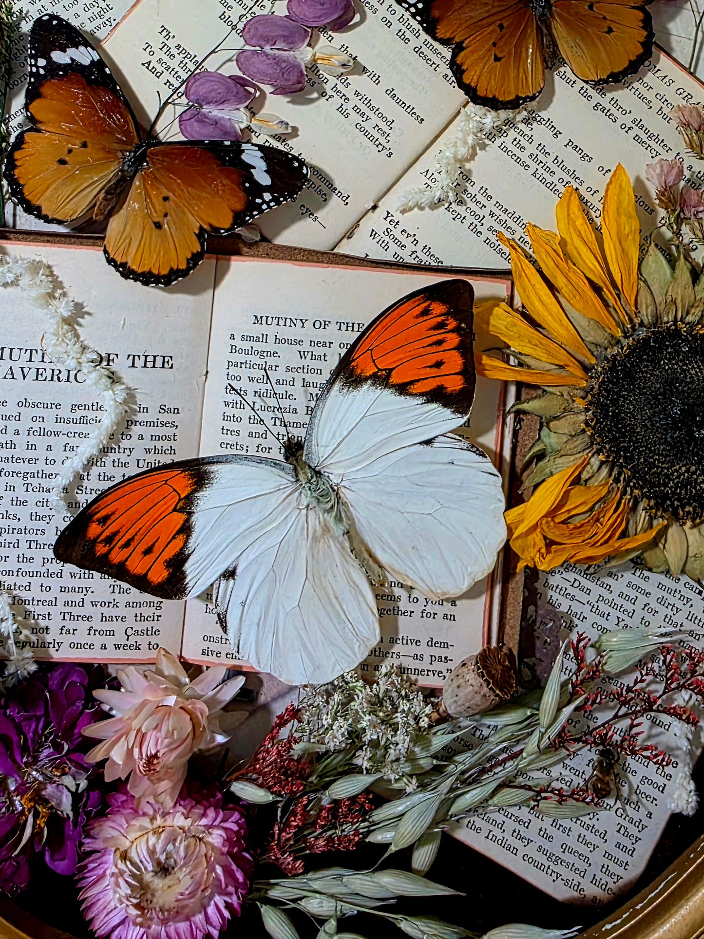 Dark Academia Butterfly and Wings Frame