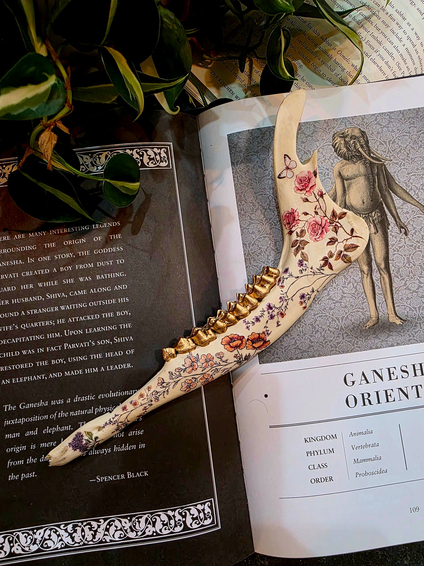 Decorative Deer Jaw Bone (D)