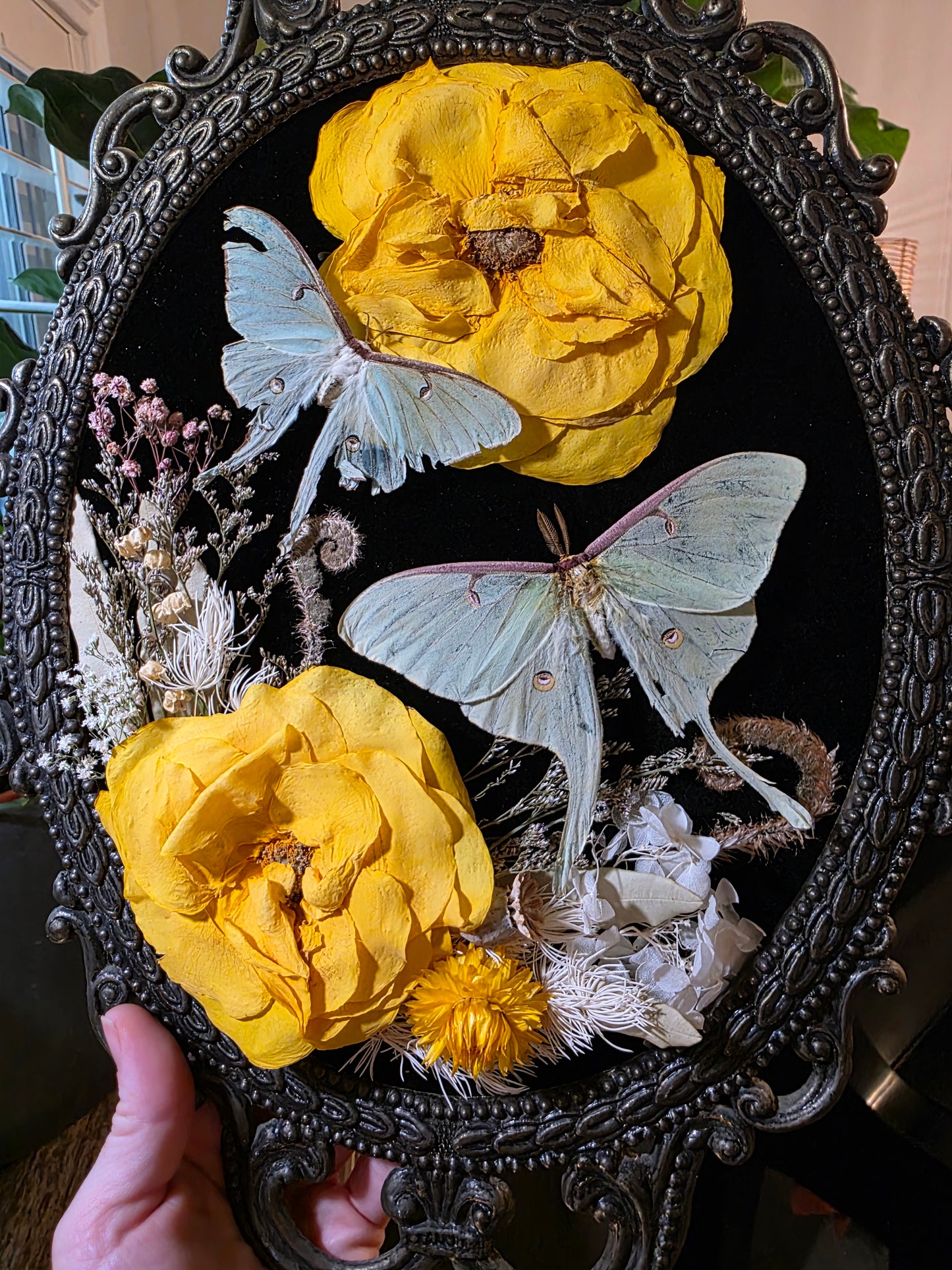 Vintage Italian Frame with Luna Moths