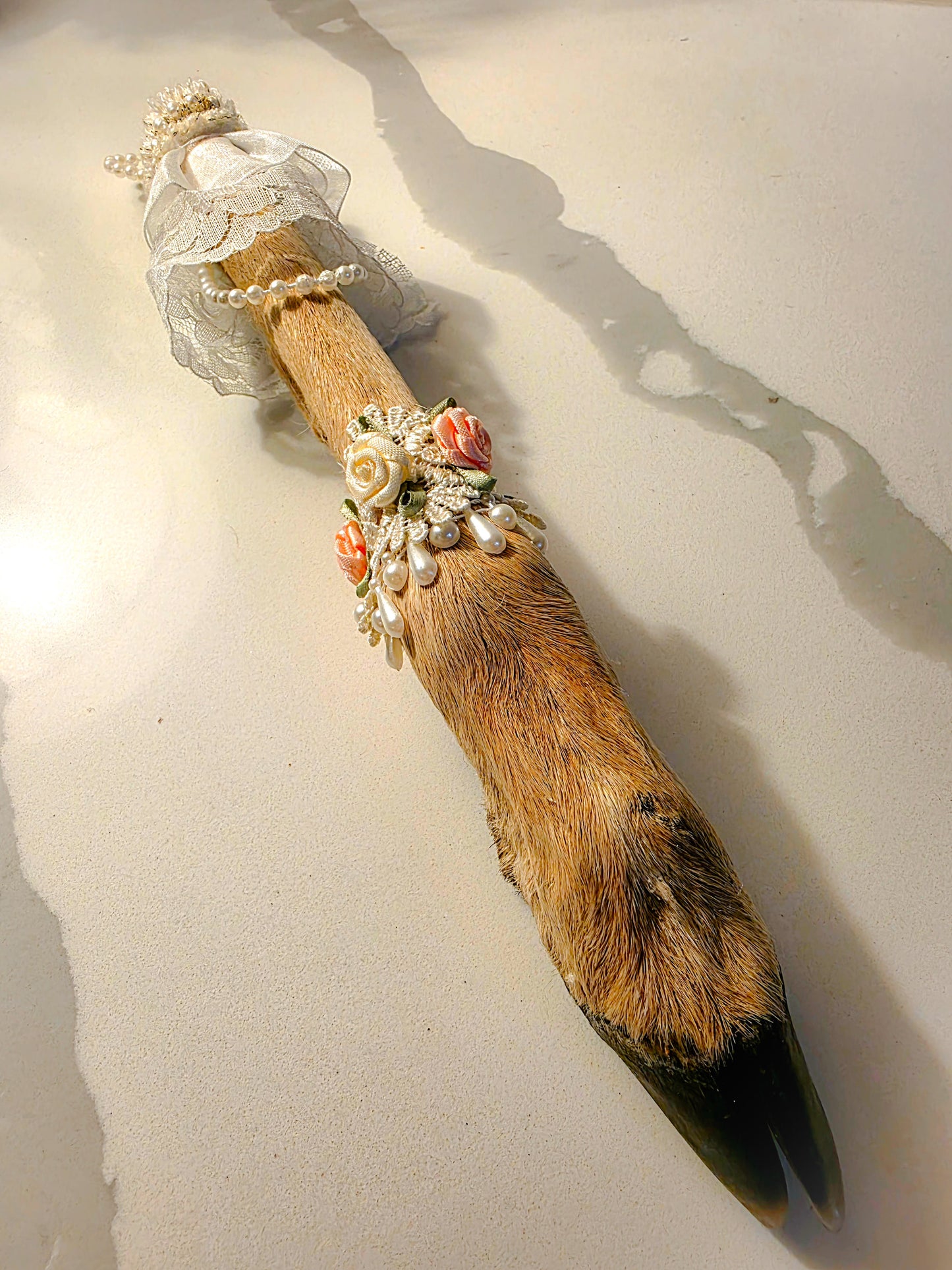 Decorative Deer Hoof (A)