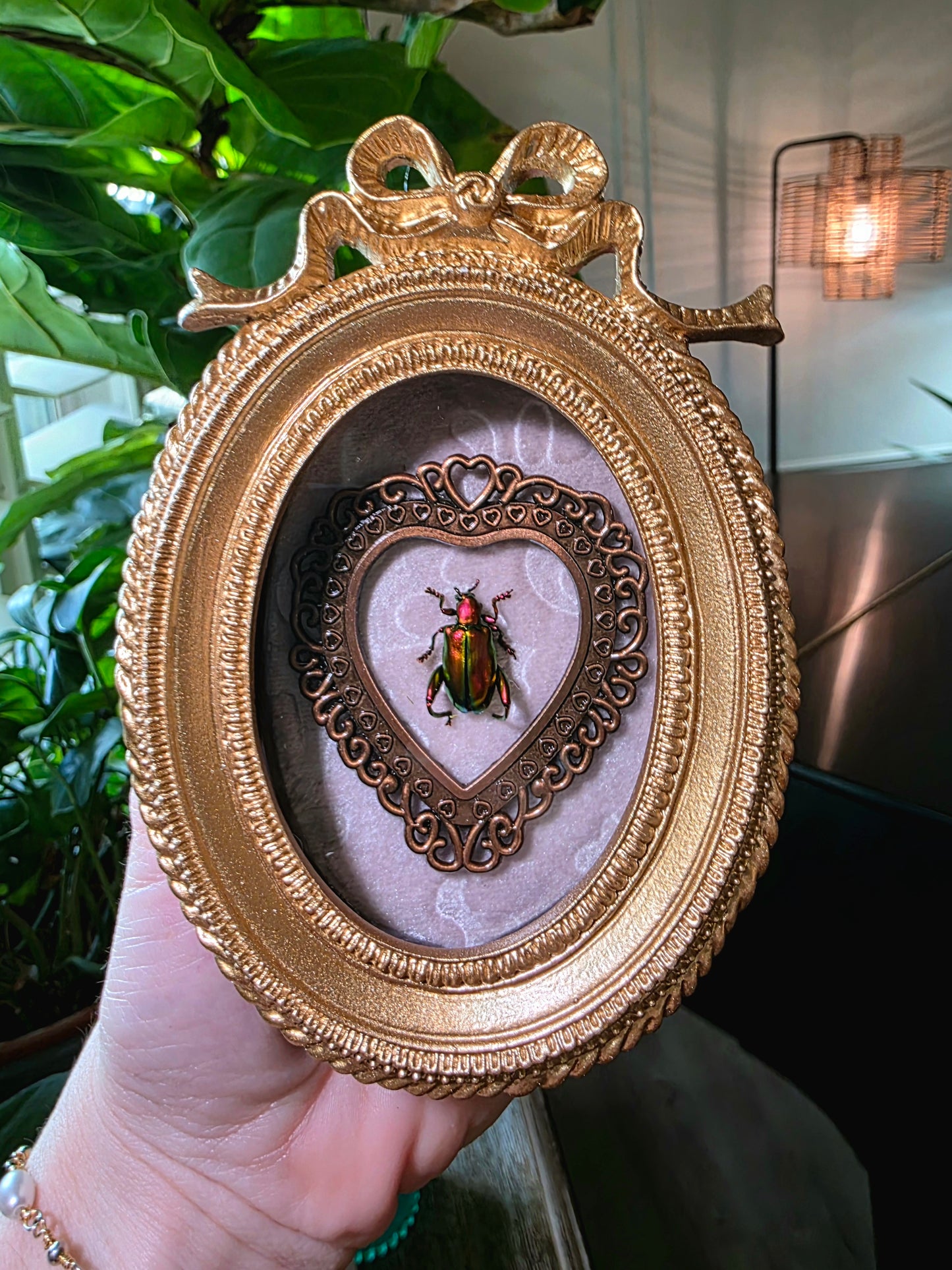 Real Frog Beetle in Gold Bow Frame