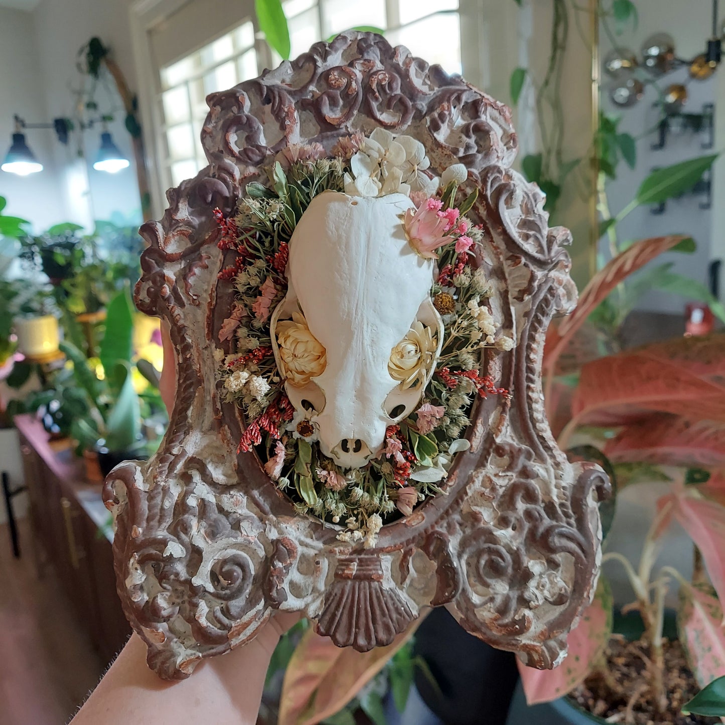 Vintage frame with Real Mink Skull and Dried Flowers