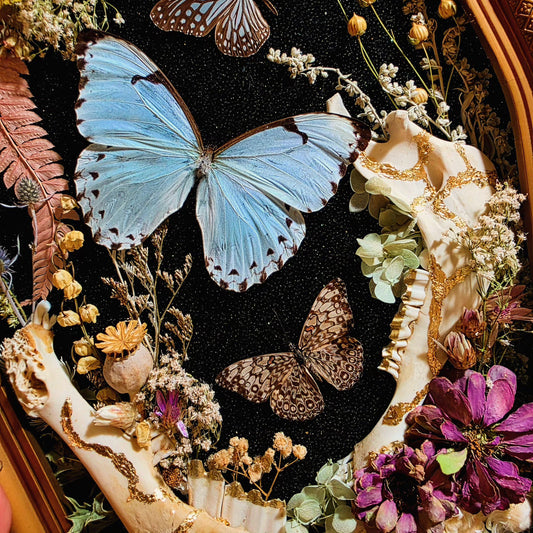 Vintage Frame with Deer Jaw Bones and Butterflies