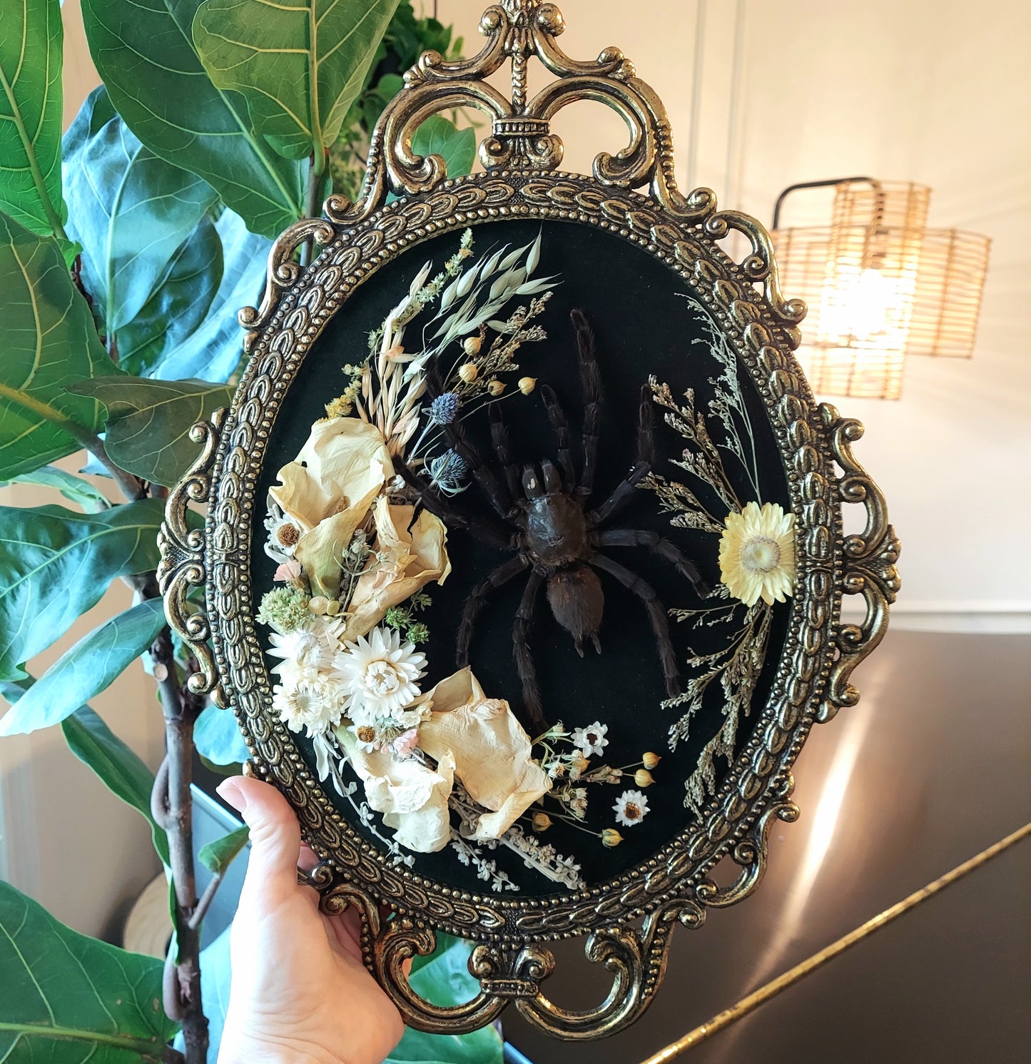 Vintage Italian Bubble Frame with Real Tarantula and Dried Flowers