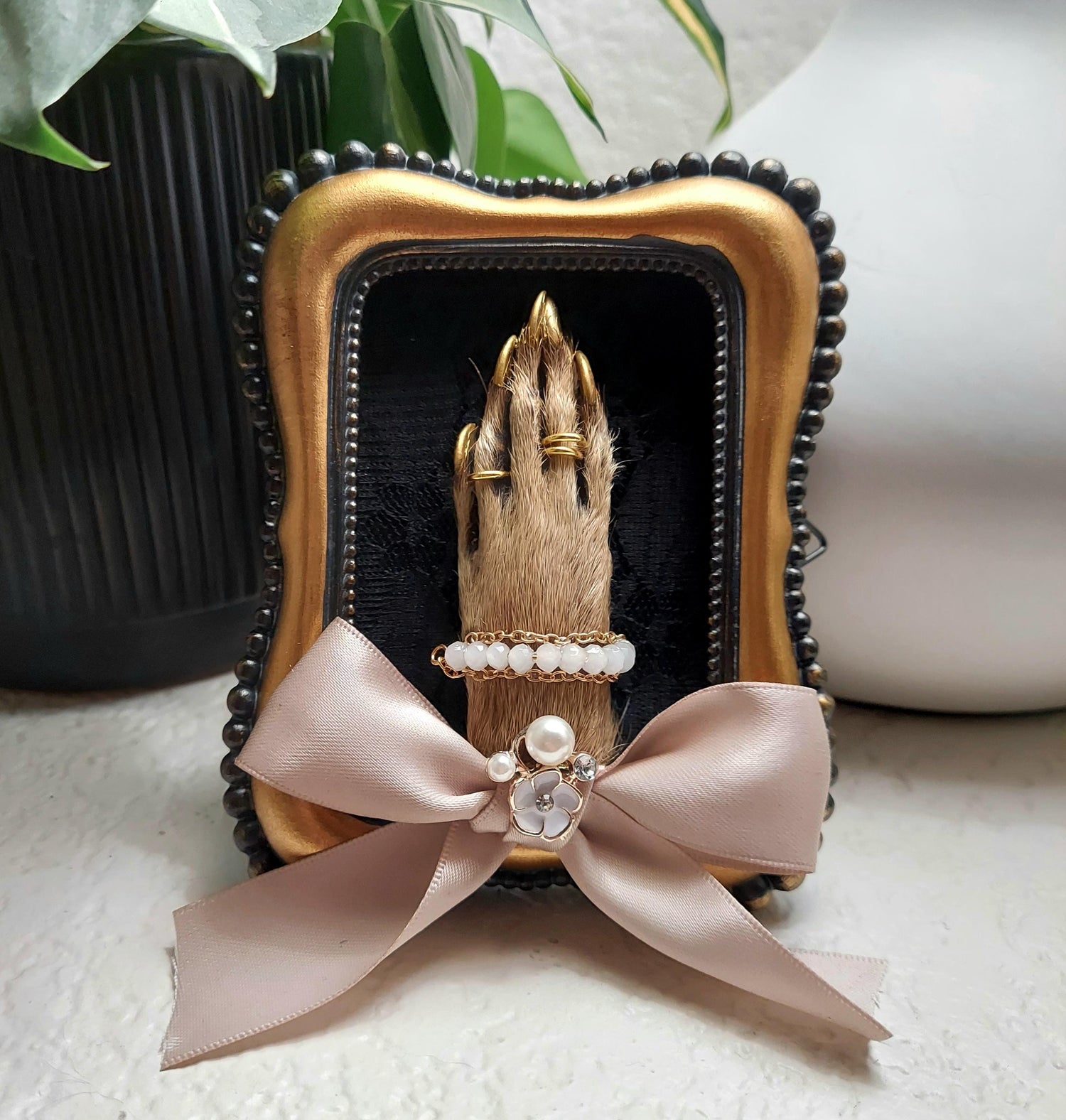 Bone Art and Taxidermy