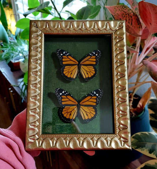Vintage Inspired Shadowbox Frame with Monarch Butterflies