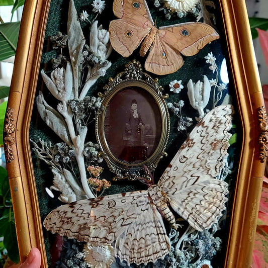 Vintage Victorian Bubble Frame with Moths and Antique Photo