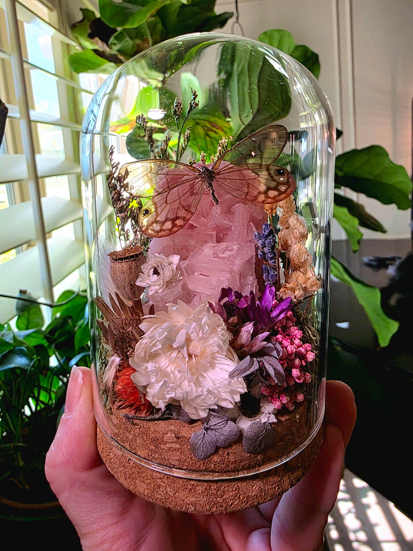 Glass Wing Butterfly and Pink Halite Terrarium
