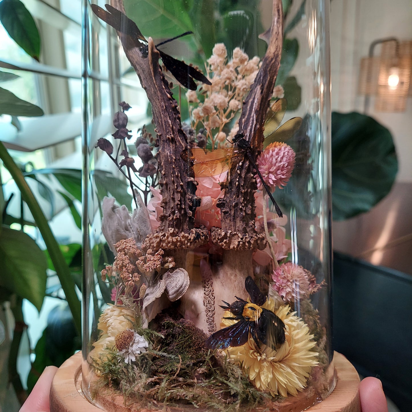 Large Terrarium with Roe Deer Antlers, Damselflies, and Carpenter Bee