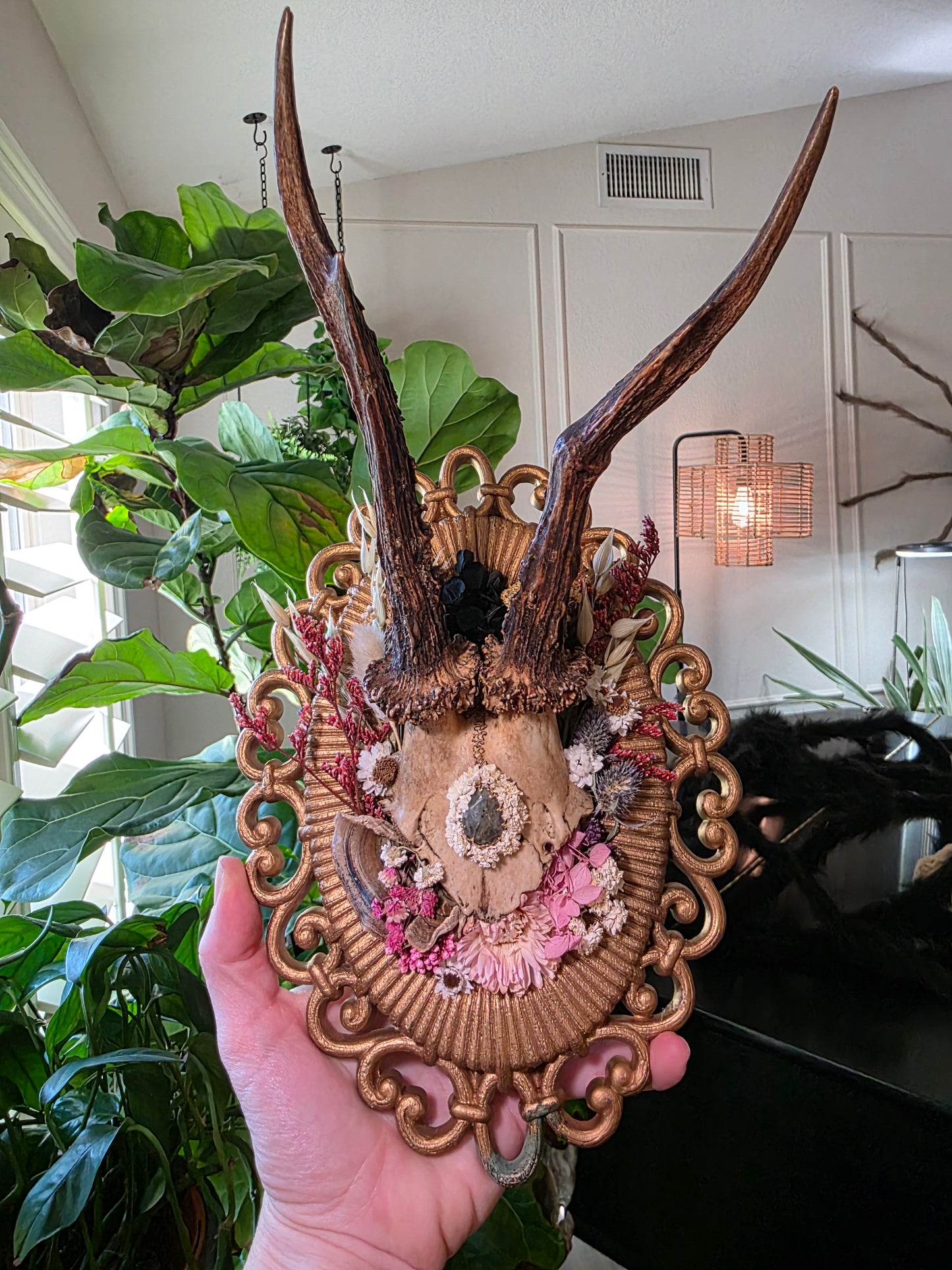 Real Roe Deer Antlers with Gemstone on Vintage Frame