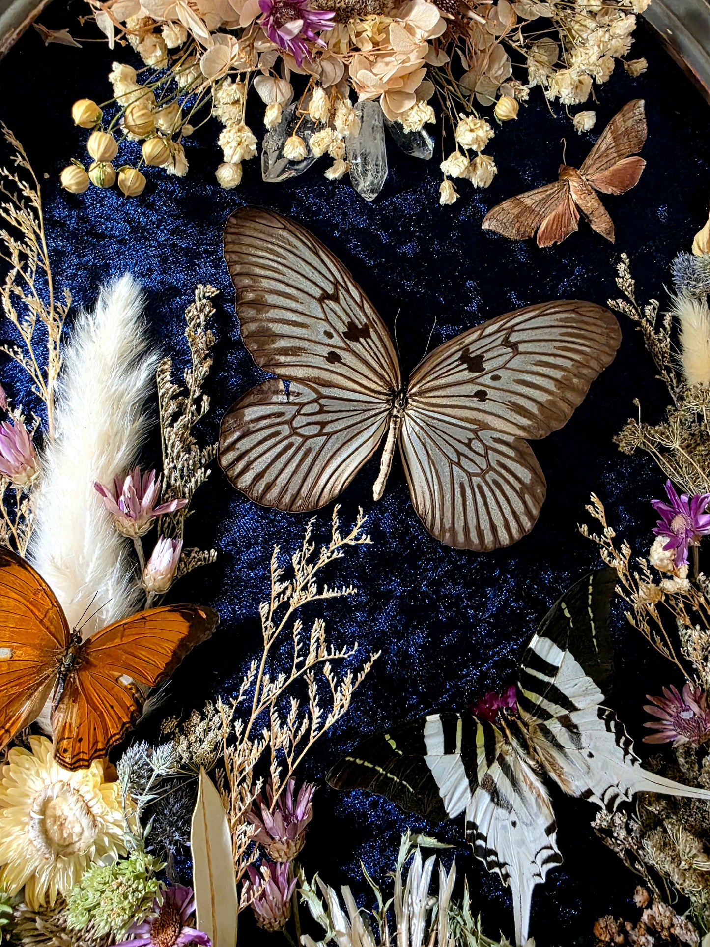 Vintage Botanical Frame with Butterflies