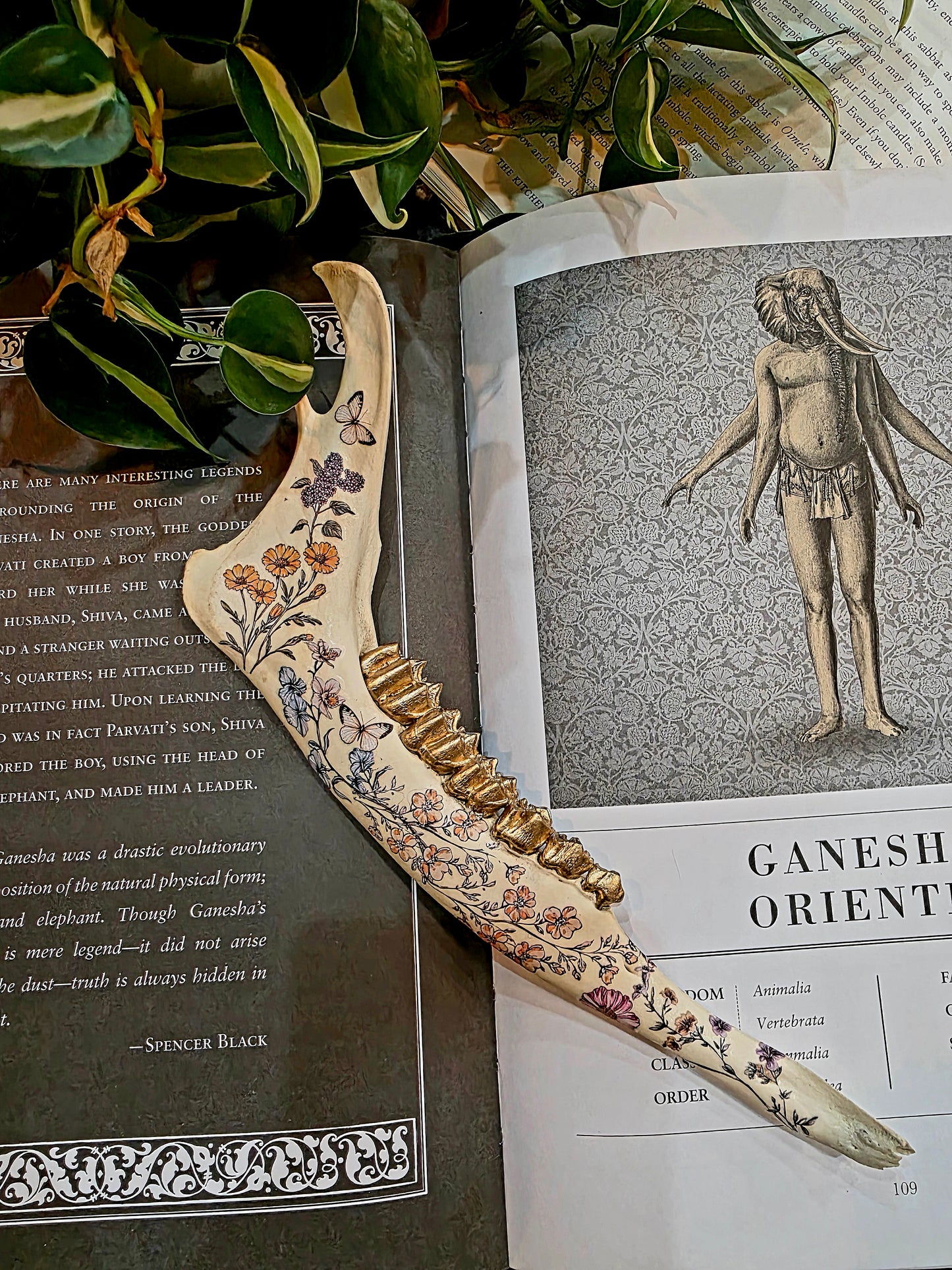 Decorative Deer Jaw Bone (E)