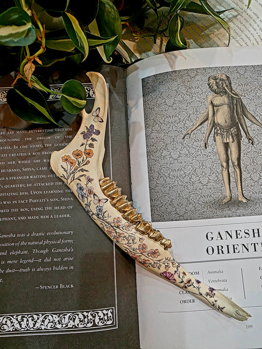 Decorative Deer Jaw Bone (E)