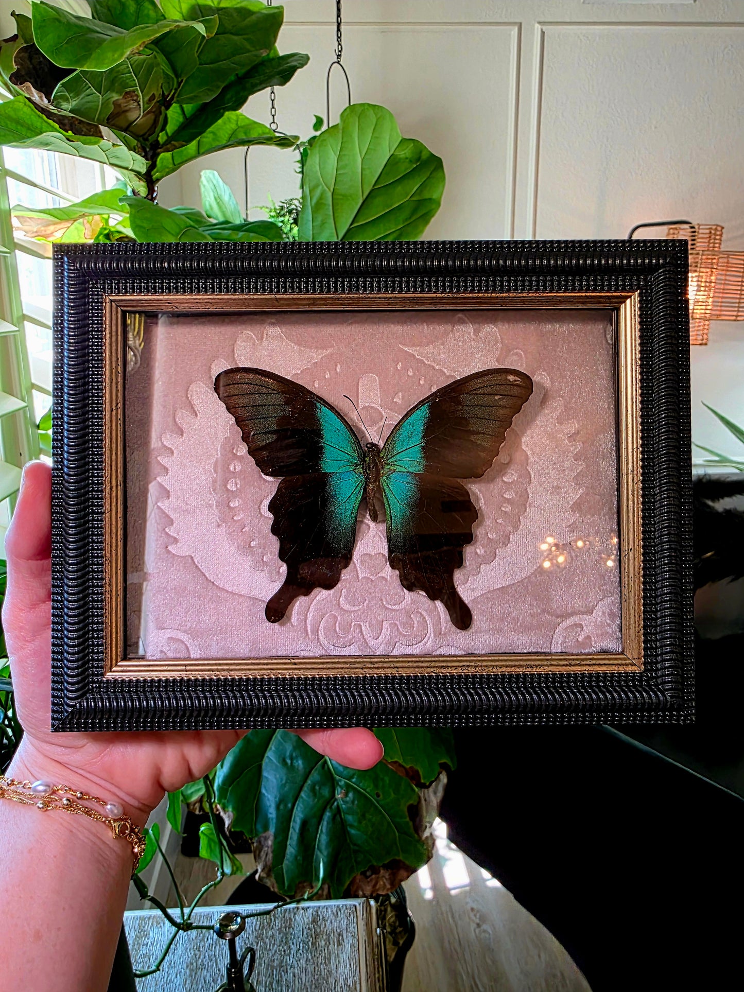 Pink Velvet and Swallowtail Shadowbox Frame