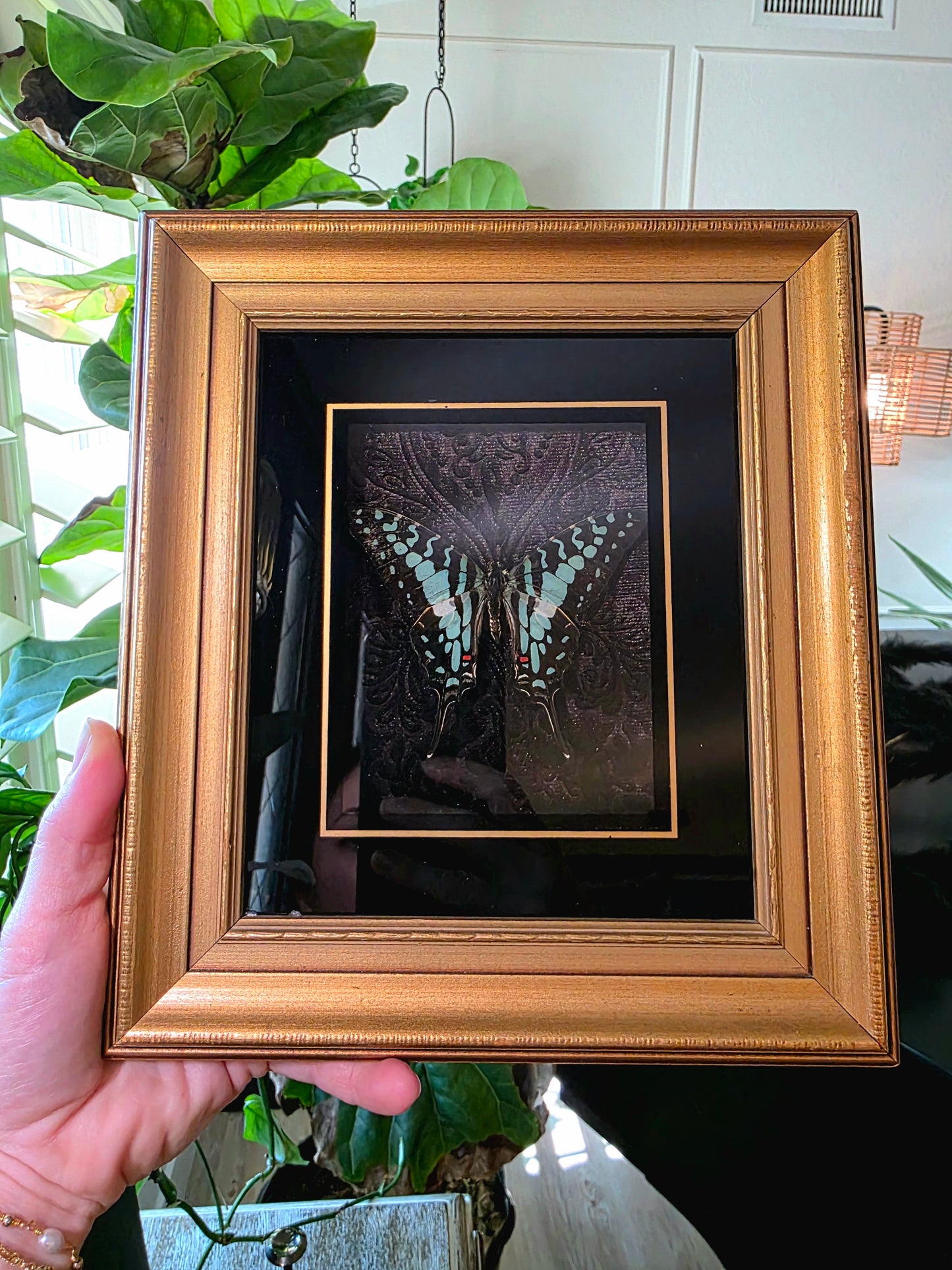 Vintage Shadow Box Frame with Butterfly