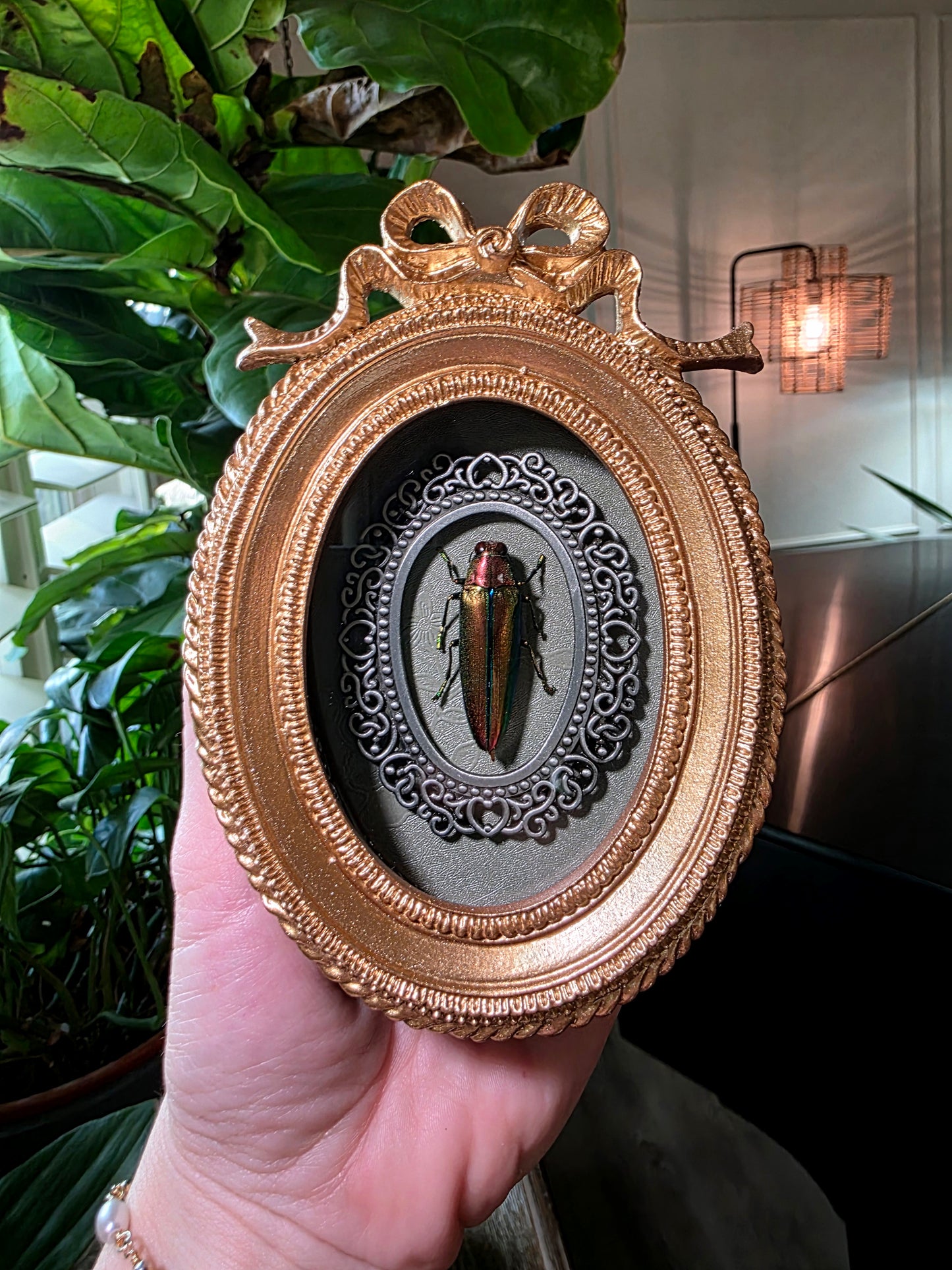 Jewel Beetle in Bow Frame