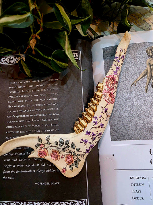 Decorative Deer Jaw Bone (B)