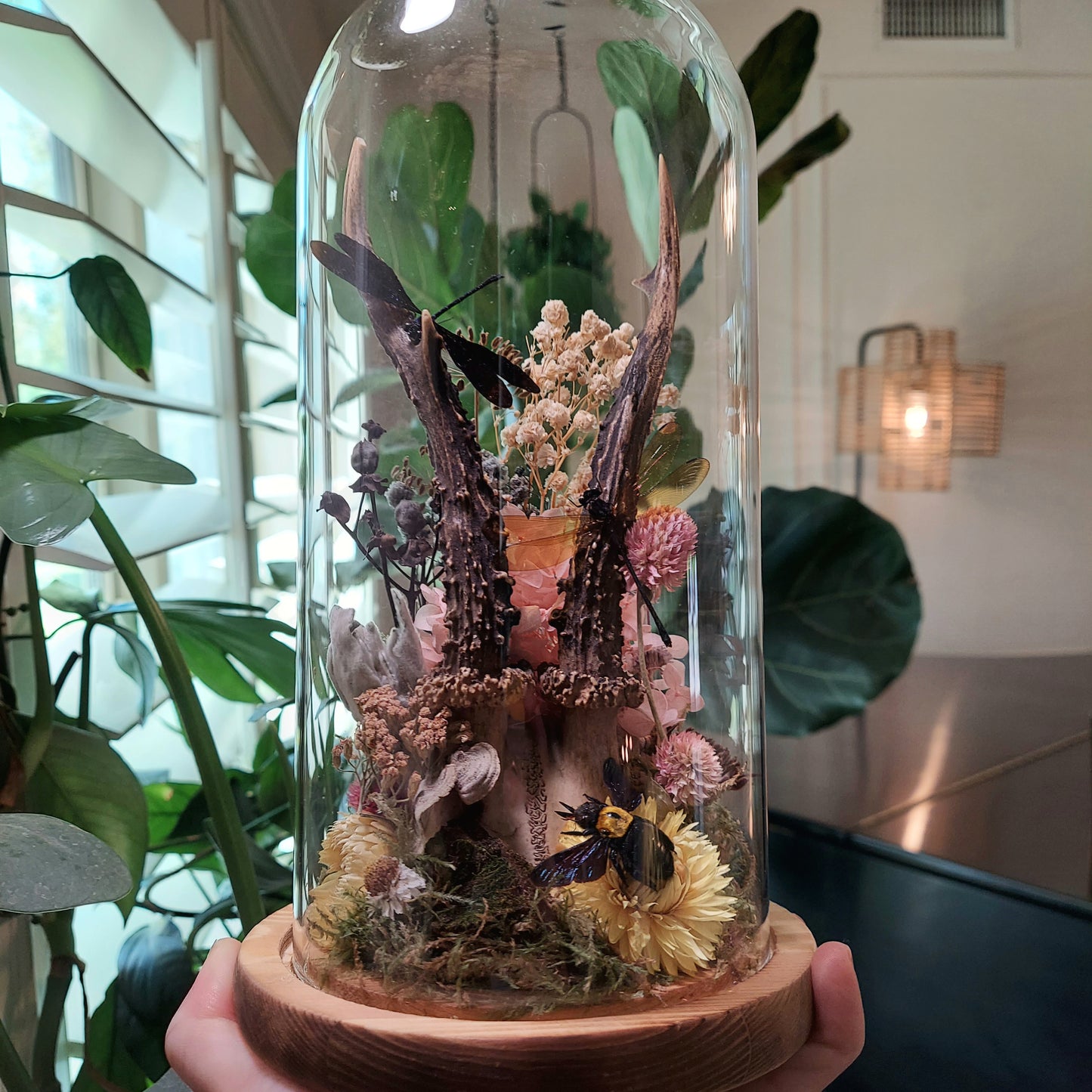 Large Terrarium with Roe Deer Antlers, Damselflies, and Carpenter Bee