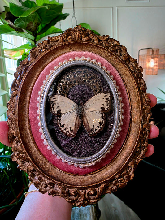 Baroque Vintage Butterfly Frame