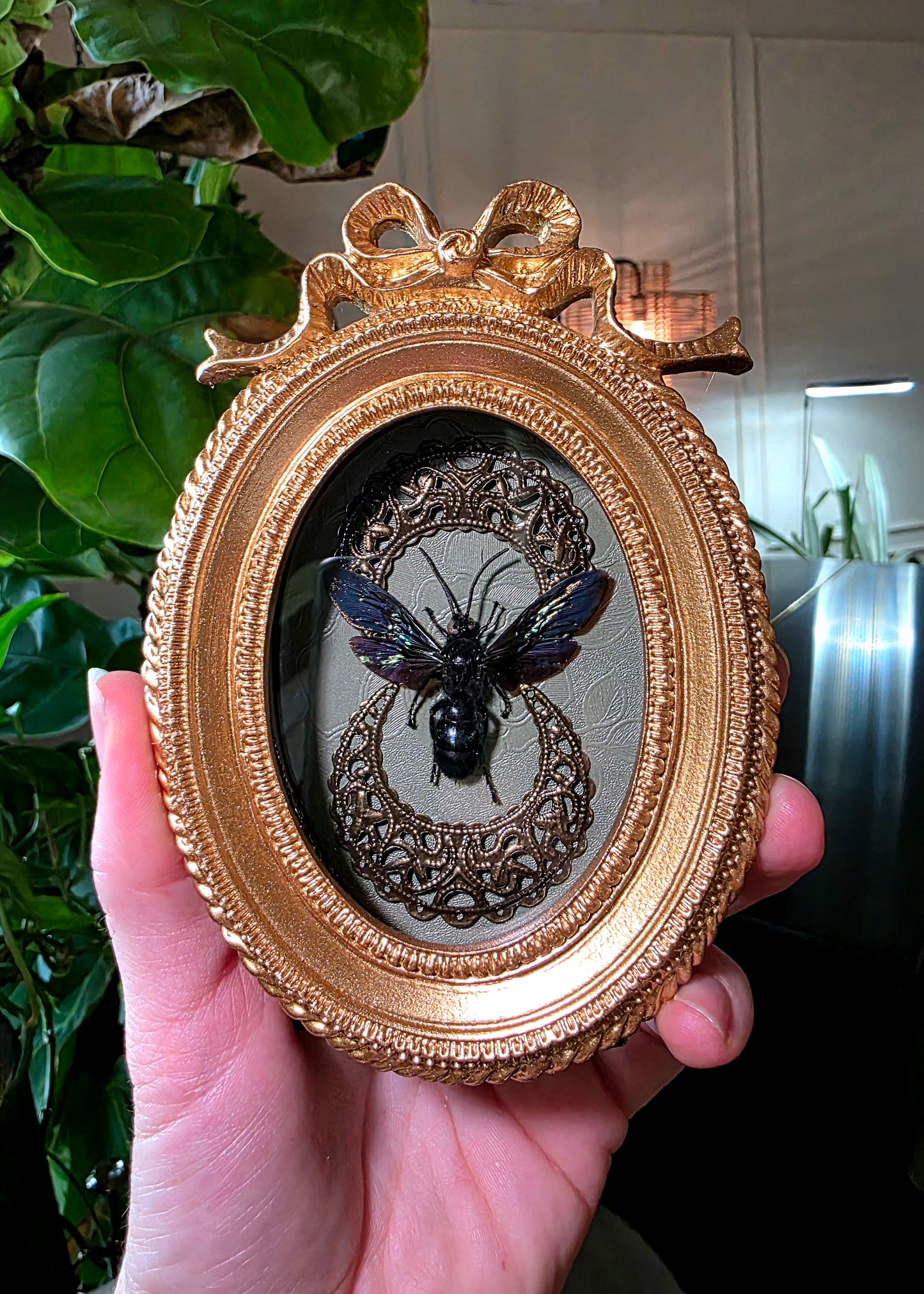 Real Wasp in Gold Bow Frame