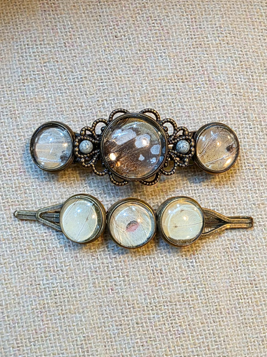Real Butterfly Wing Hair Clips (Set of two) #1