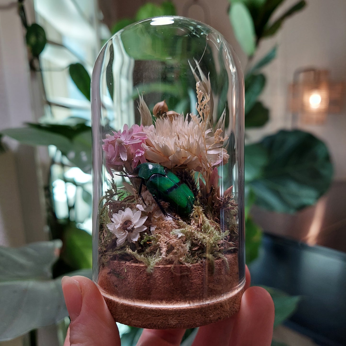 Mini Glass Terrarium with a Real Flower Beetle and Dried Flowers