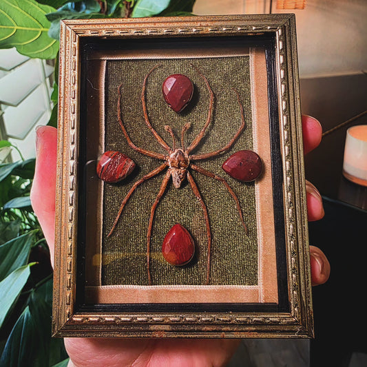 Antique Frame with Spider