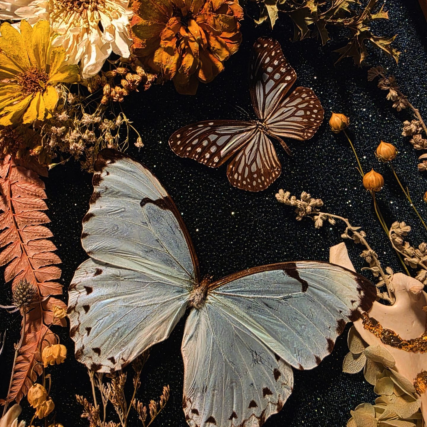 Vintage Frame with Deer Jaw Bones and Butterflies