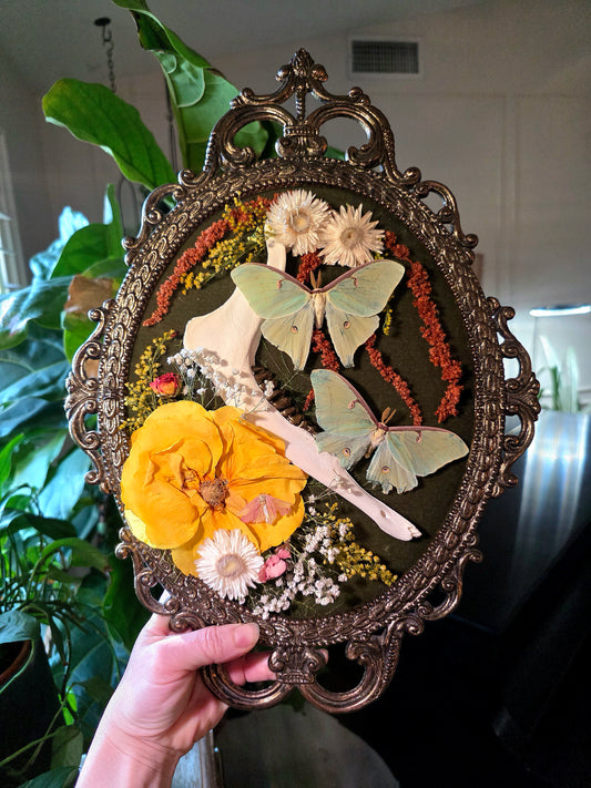 Vintage Italian Frame with Luna Moths and Deer Jaw