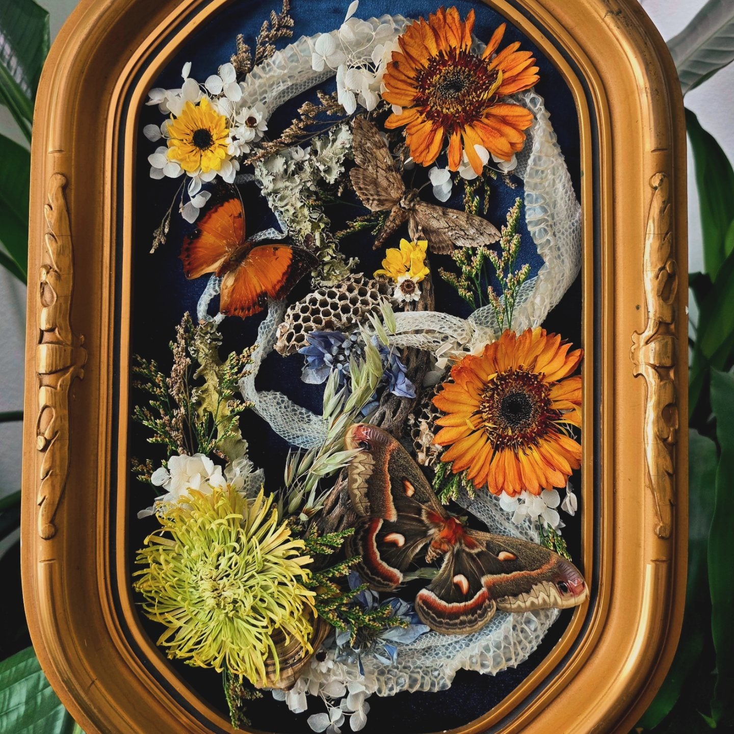 Vintage Forest Inspired Frame