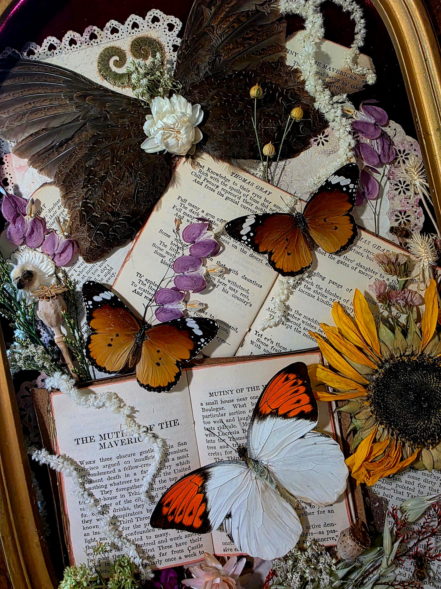 Dark Academia Butterfly and Wings Frame