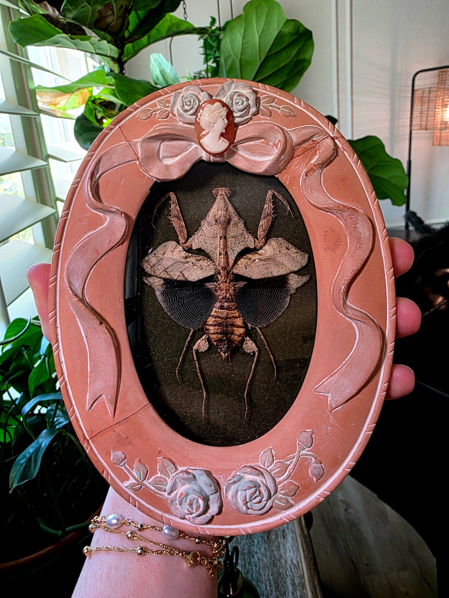 Vintage Terracotta Frame with Dead Leaf Mantis