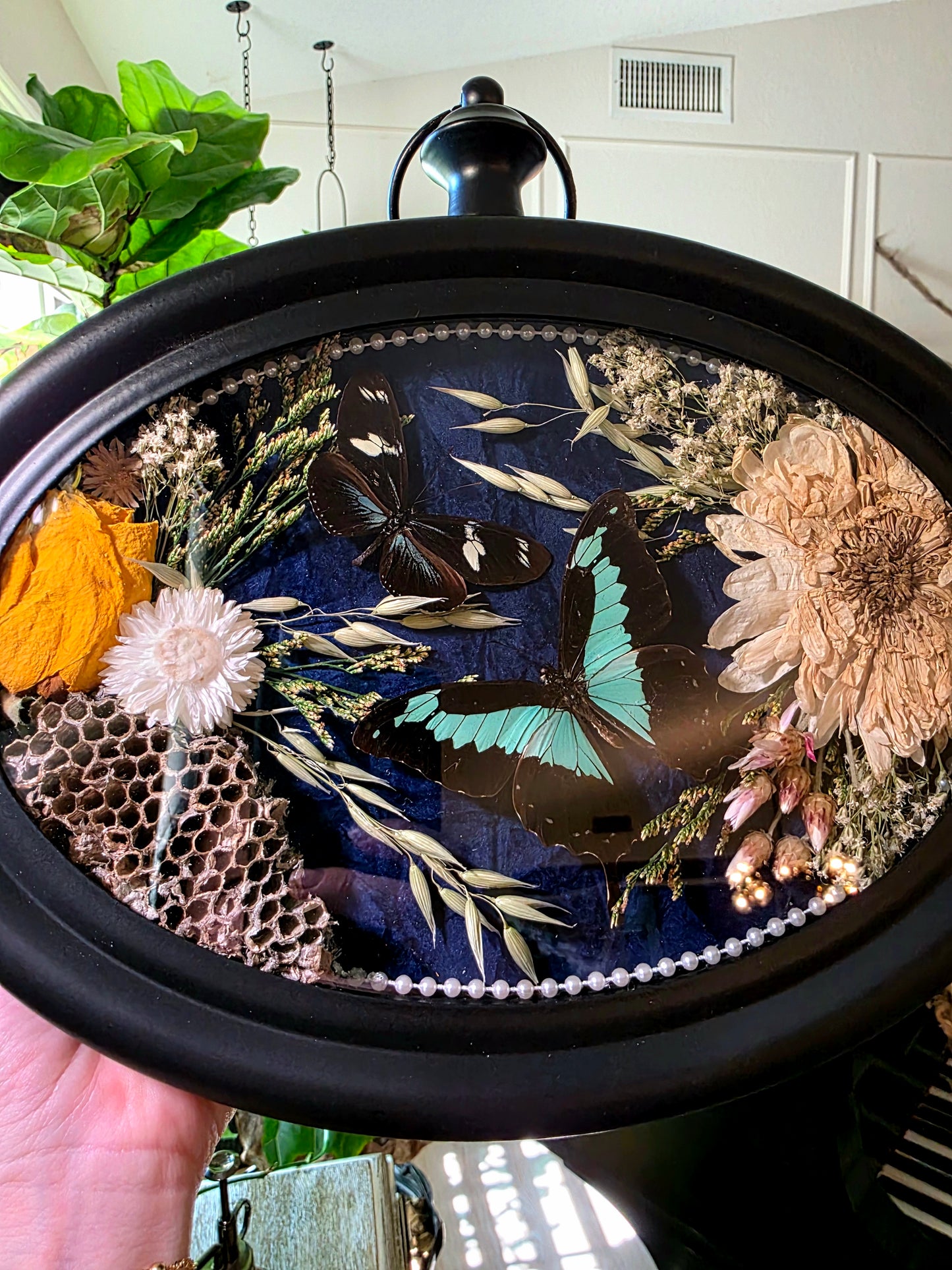 Clock Frame with Butterflies and Wasp Nest