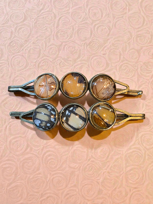 Real Butterfly Wing Hair Clips (Set of two) #7
