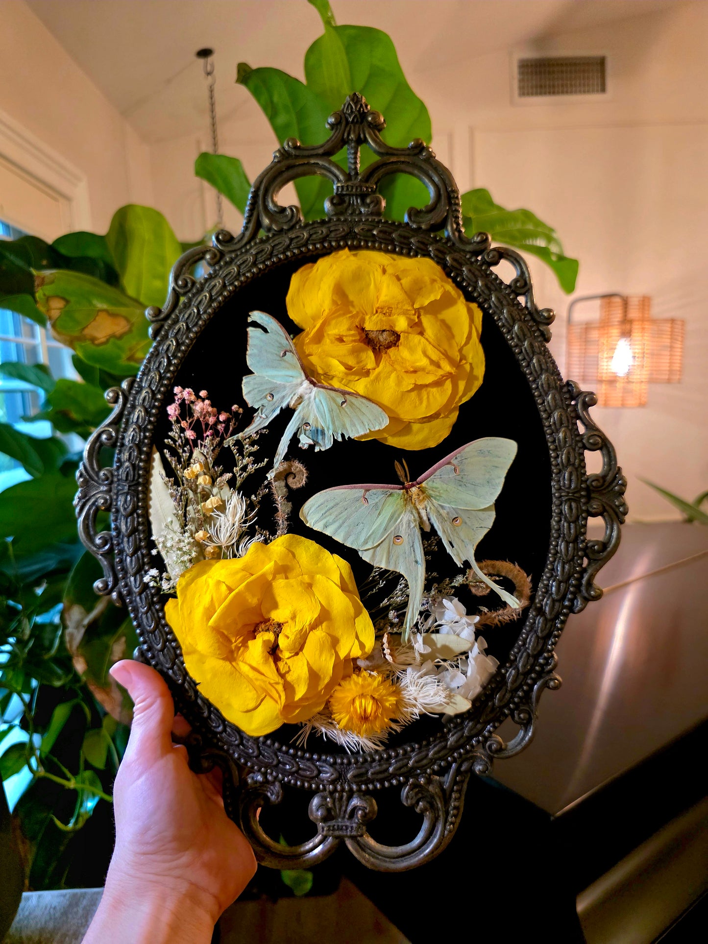 Vintage Italian Frame with Luna Moths